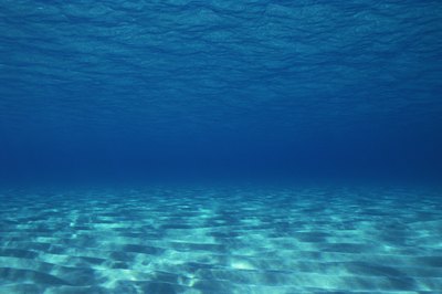 Ocean water is 3 times as salty as your blood.