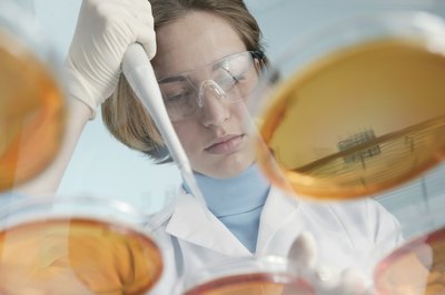 A scientist collects samples in petry dishes.