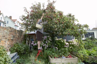 Locate a source of produce.