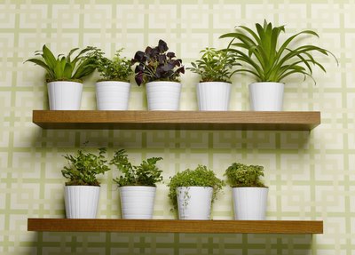 Sulfur is necessary for plant life.