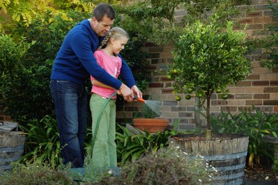 A father and young daughter spraying plants with a garden hose