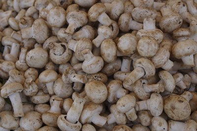 mushrooms