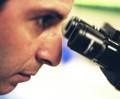 Microscope