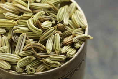 Fennel