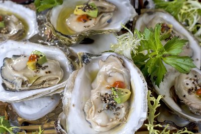 Oysters in shell