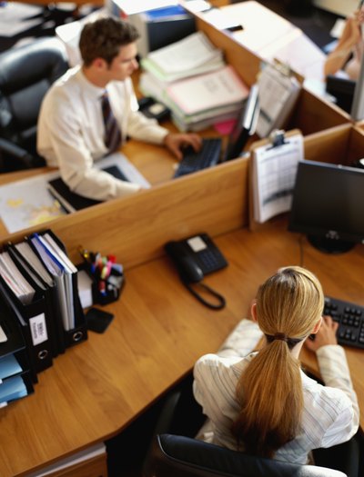 Employees in cubicles