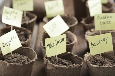 Without labels, all pots of soil look alike.