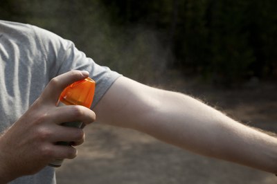 Chigger bites are slightly larger than mosquito bites.