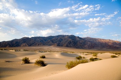 A desert image makes an inspiring jumping-off point for an art project.