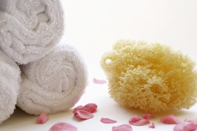 Loofah sponge