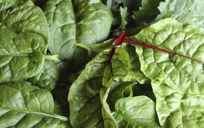 kale
