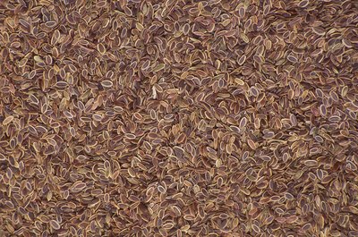 Close-up on Flax Seeds