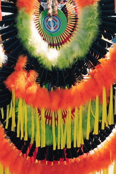 feathers