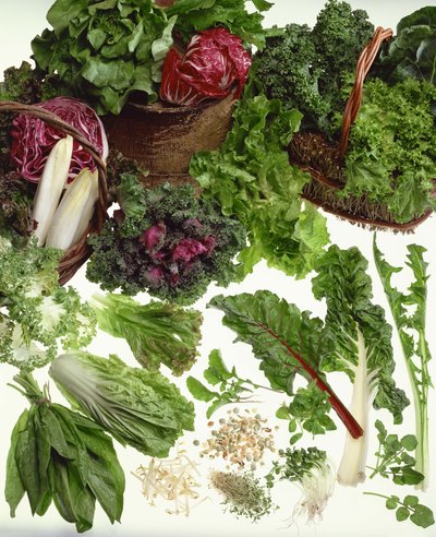 Fresh greens on white background.