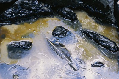 polluted body of water