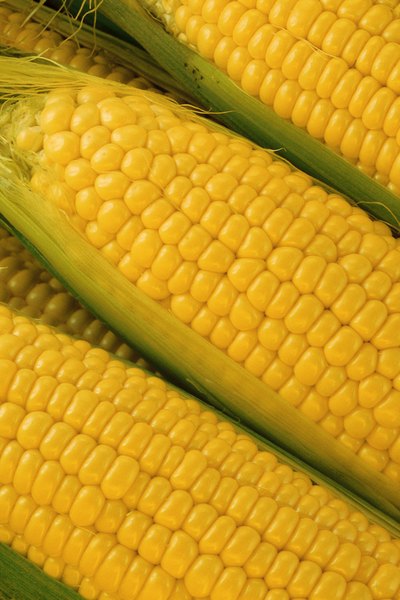 corn