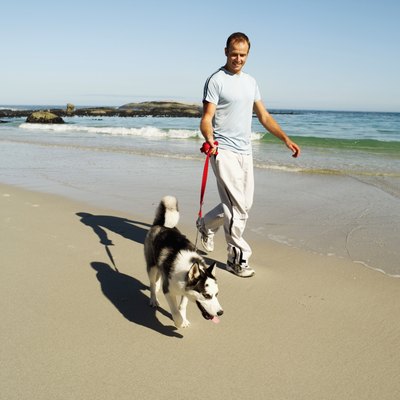 A man walks his dog on the beach.
