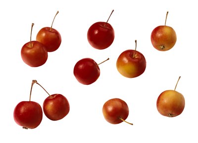 Crab apples.