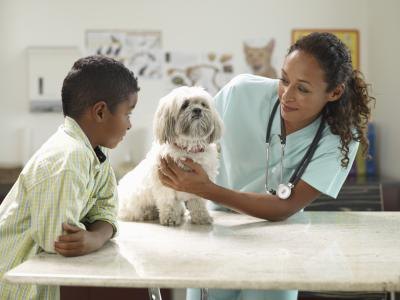 If your dog has unusual symptoms contact your veterinarian immediately.