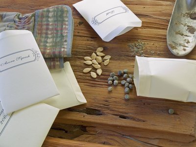 News seeds for planting.
