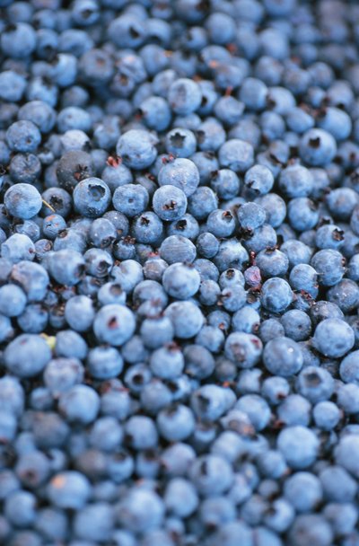 Berries That Indicate pH