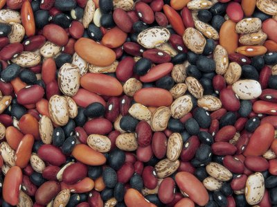 Beans are low calorie and high protein.