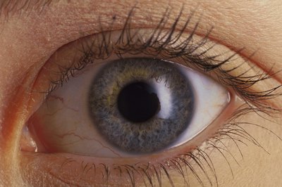 Close up of iris