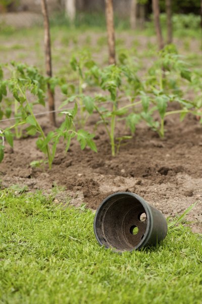 An empty pot lies on the grass.