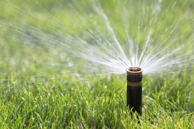 An automatic sprinkler.