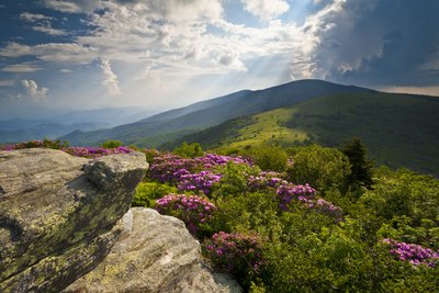 Rubies, emeralds and sapphires can all be found in North Carolina.