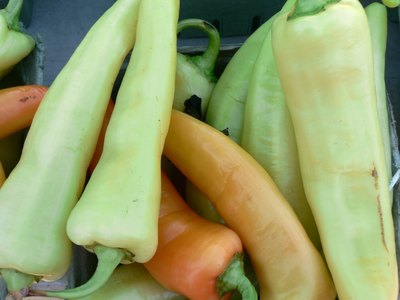 banana peppers come in both sweet and hot