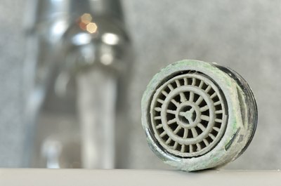 calcified aerator