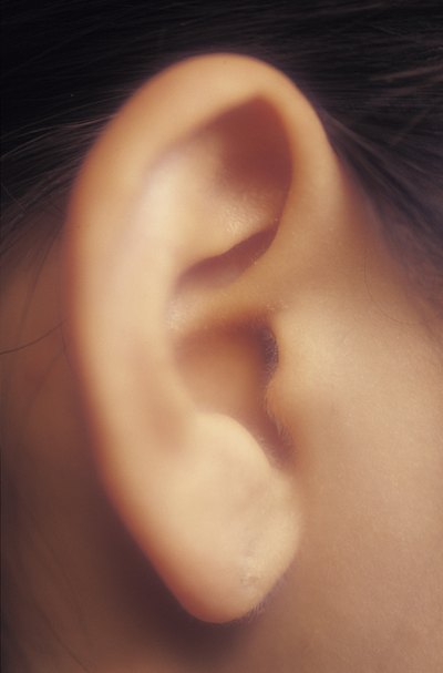Closeup of earlobe