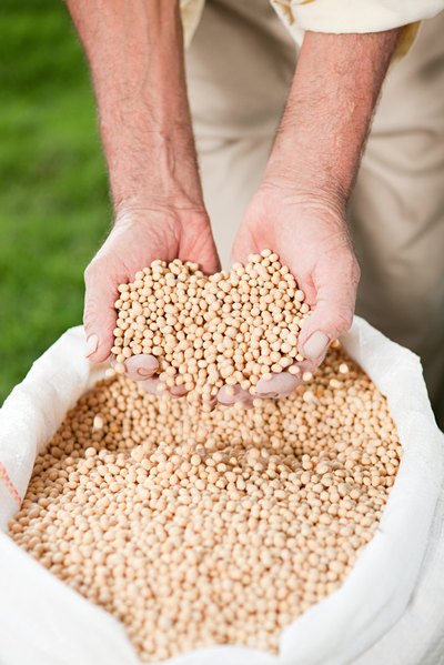 Soybeans