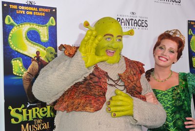Shrek and Princess Fiona costumes