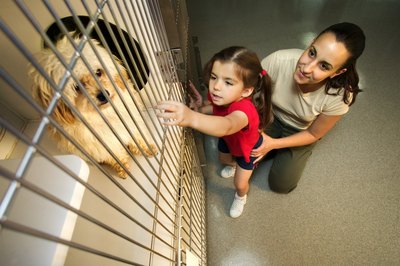 Mother and daughter looking at dog in shelter.