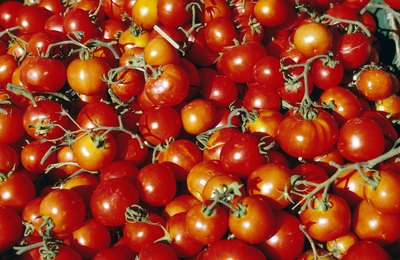 tomatoes