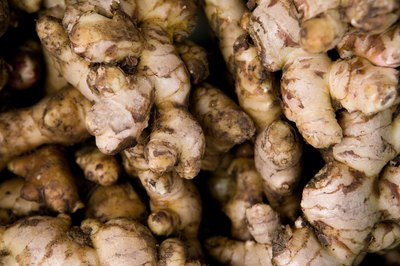 Ginger