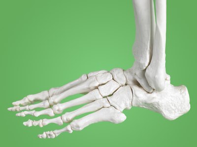 There are 26 bones in each foot and 33 joints in each foot and ankle.