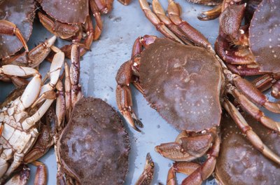 Shellfish will last up to three days