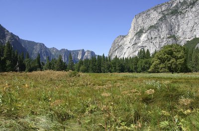 A mountain valley in the Sierra Nevada.