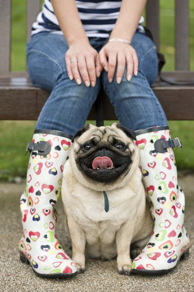 Women's dress boots