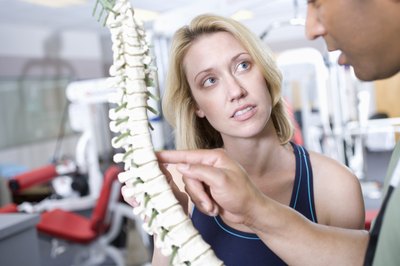 The C8 nerve is located on the spinal cord.