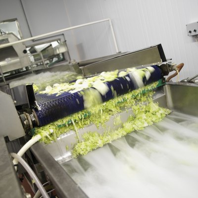 Lettuce is shredded at a factory.
