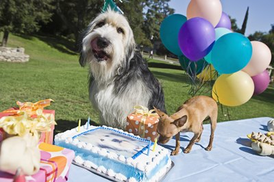 Birthday celebration!
