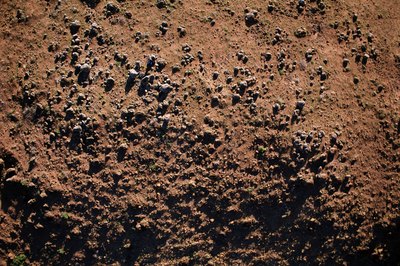 Soil close up.