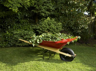 Wheelbarrow