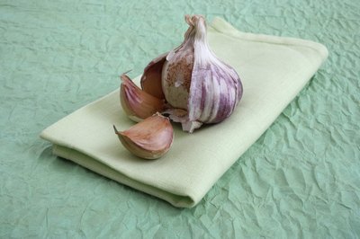 Garlic bulb and cloves on napkin
