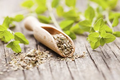 Small wooden scoop filled with dried oregano.