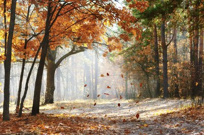 Plan a harvest-themed event as an alternative to Halloween.